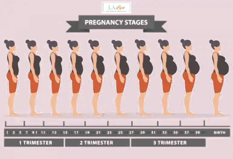 First Trimester (Weeks 1–12): Early Changes You Might Not Notice West Midlands